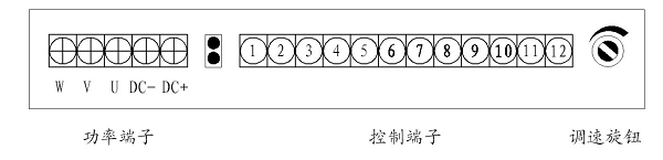 無刷驅(qū)動器端子